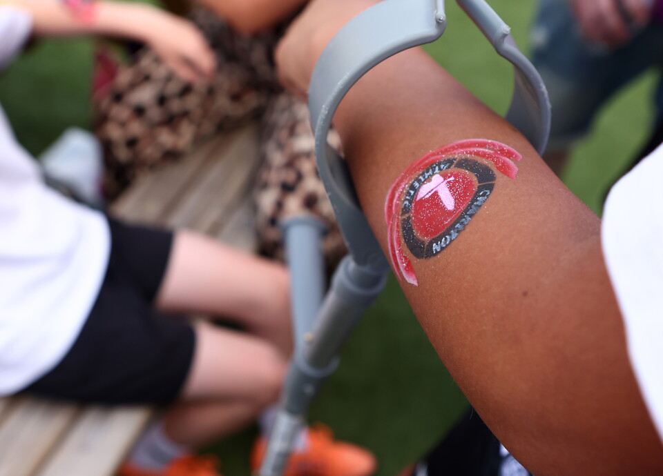 Fan with Charlton badge painted on arm