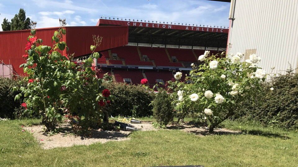 The Valley's memorial garden